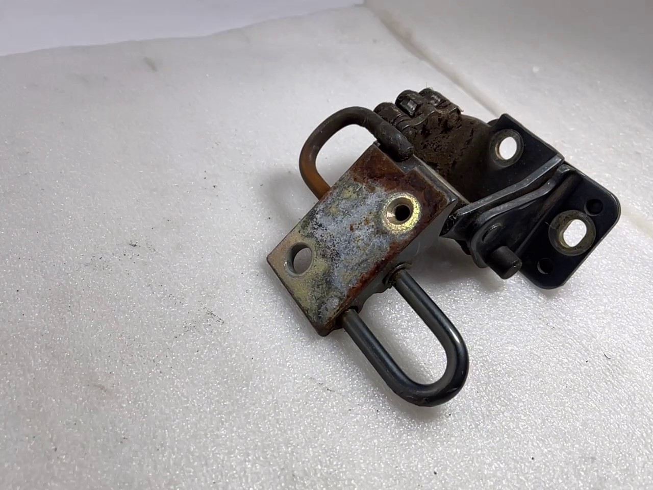 2022-05-31 170054.jpg